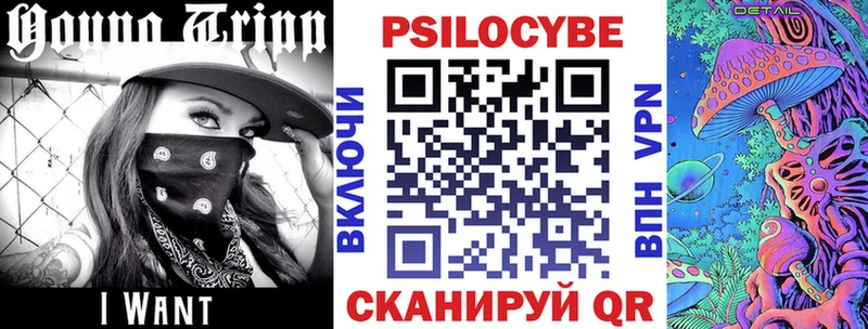 Псилоцибиновые грибы GOLDEN TEACHER  Белокуриха 